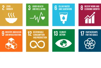 Our contribution to the global goals