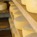 Traditional ripened cheese