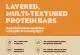 Layered, multi-textured protein bars
