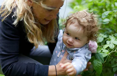 Whey protein concentrates & isolates